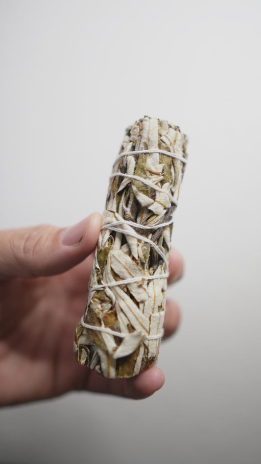 Yerba Santa